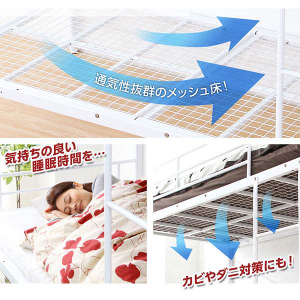 Larch・Steel Pipe Bunk Bed