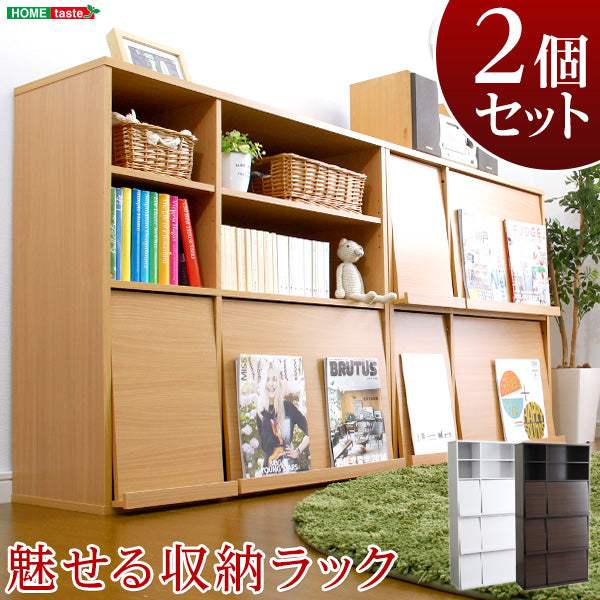 Display Rack・魅せて隠す収納！ディスプレイラック2個セット（本棚・リビング収納） - DEGUTI