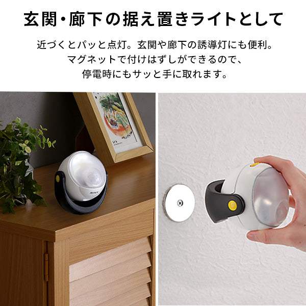 Free Attach Tripod Sensor Light・取り付け自由　三脚センサーライト