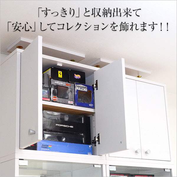 Luke・コレクションラック【ルーク】浅型ハイタイプ(専用上置き)